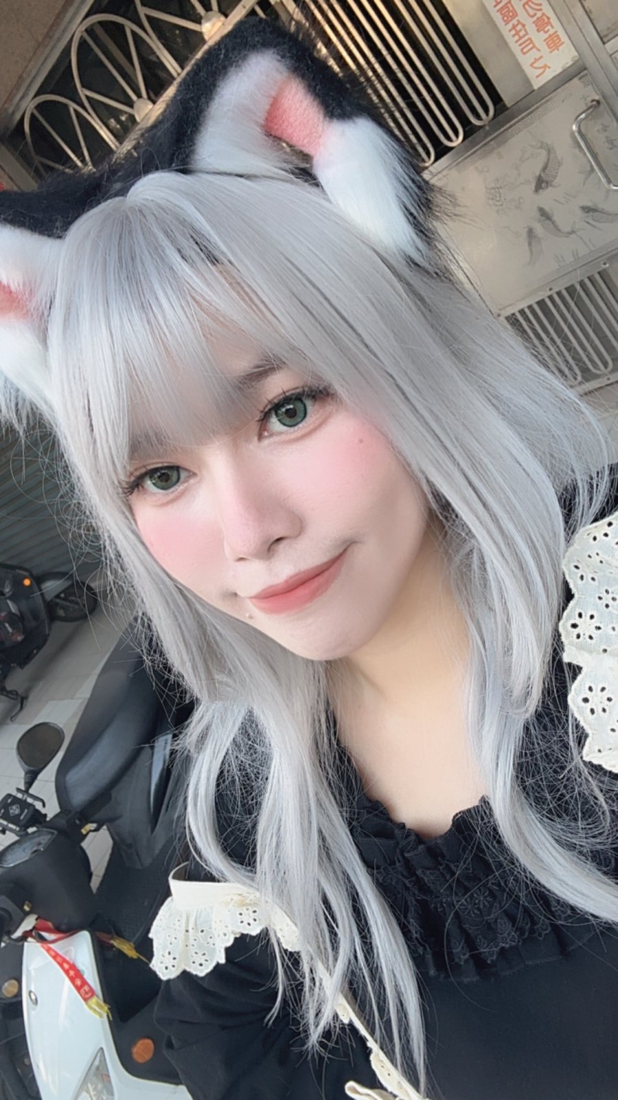 軟糖 的照片